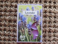 Tea Lights - lavender