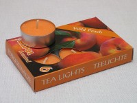 Tea Lights - wild peach